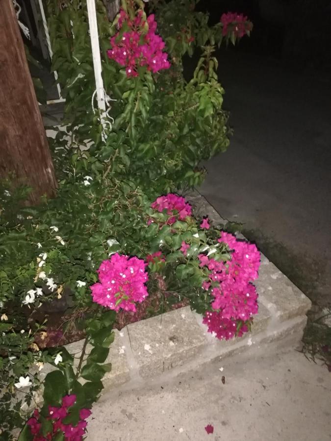 אמוליאני Guest House Kalina,Studio 5 מראה חיצוני תמונה